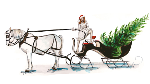 Horse drawn sleigh with christmas tree