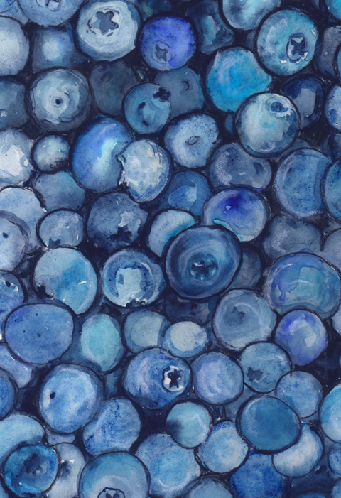 painting of blueberries