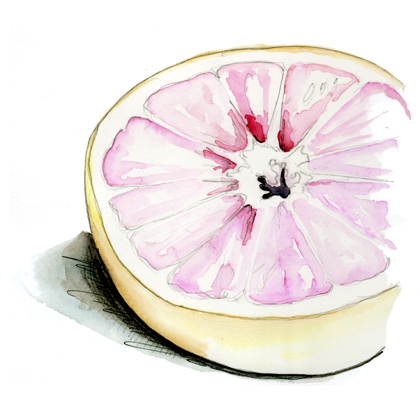 watercolor painting of a grapefruit