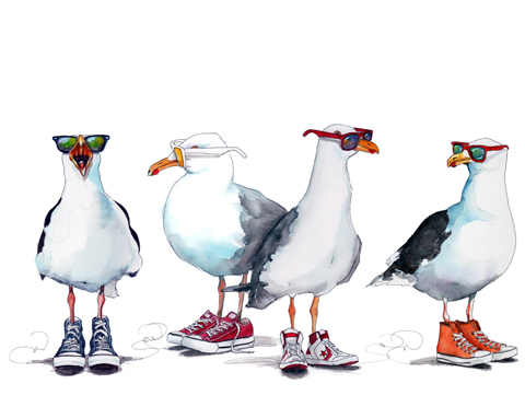 seagull illustration by tracy hetzel