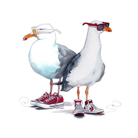 seagull illustration by tracy hetzel