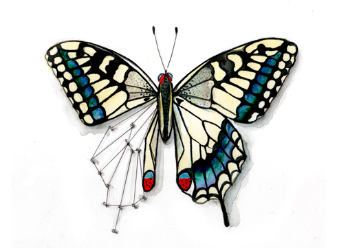 butterfly, in repair, watercolor, tracy hetzel, illustration, broken, broken heart, broken wing