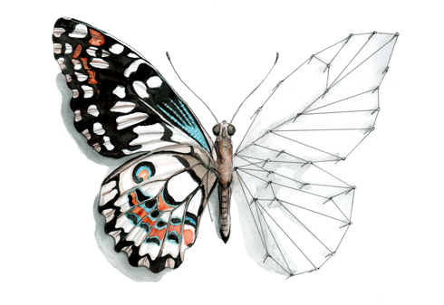 butterfly, in repair, watercolor, tracy hetzel, illustration, broken, broken heart, broken wing