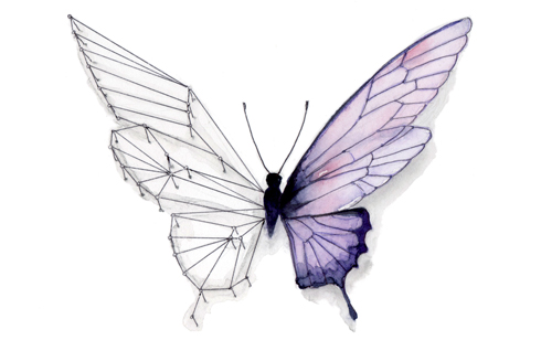 broken butterfly wing drawing